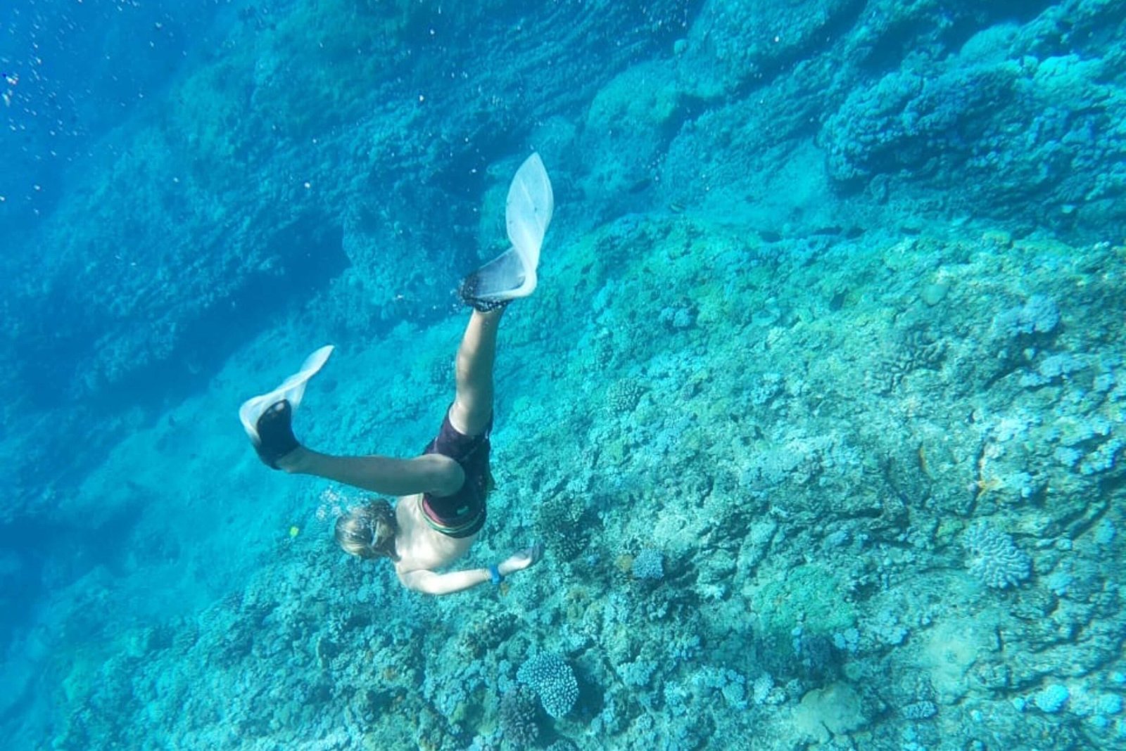 Sunset Dinner Cruise Mauritius