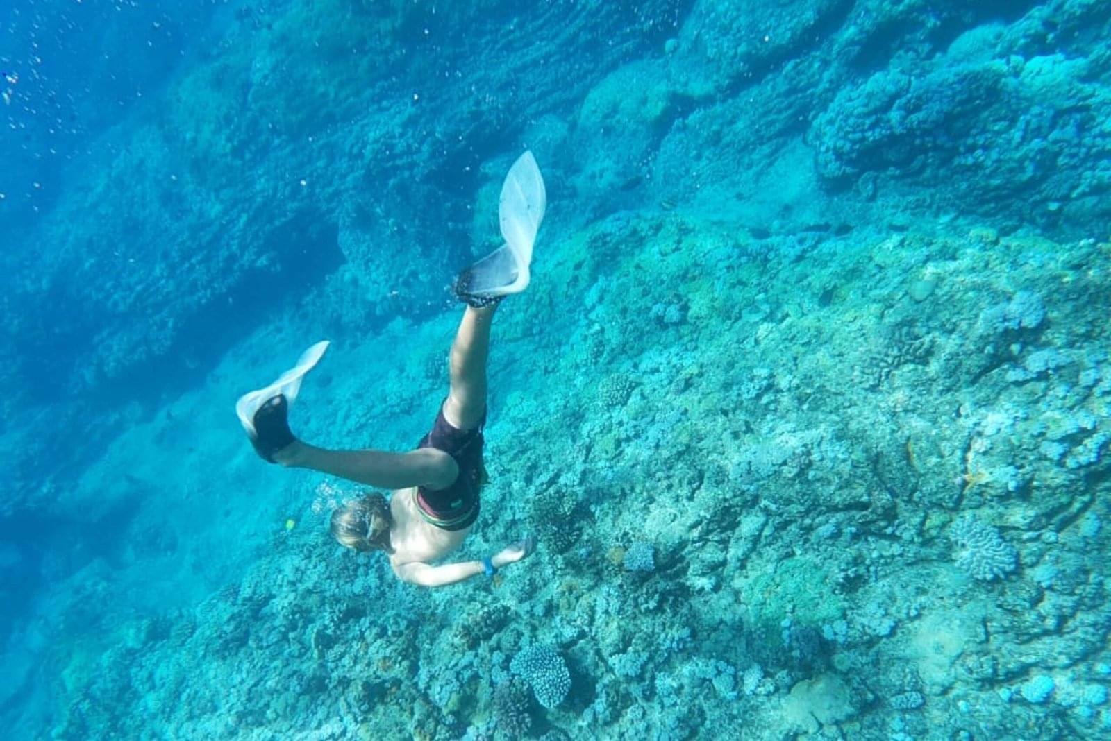 Sunset Dinner Cruise Mauritius